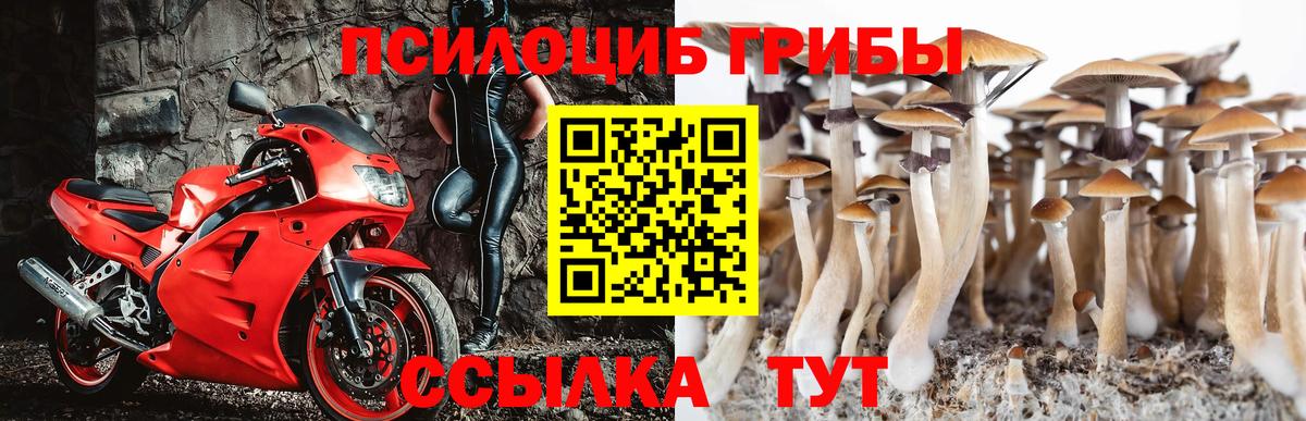 Ялуторовск  Псилоцибиновые грибы Cubensis  Псилоцибиновые грибы Psilocybine cubensis  Вход с VPN 